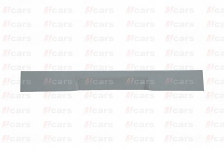 Ремкомплект обшивки задньої одинарної двері (висота 200мм.) 4Cars 3241000610 (фото 1)