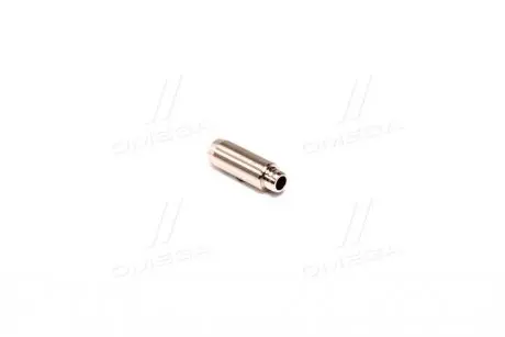 Направляющая клапана AE VAG96353B