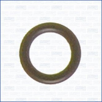 Уплотнительное кольцо топл. трубки AJUSA 16004200 (фото 1)