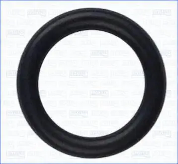 Прокладка болта кришки головки Opel Omega B/Astra F 2,0 16v 98- AJUSA 16063900