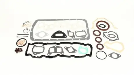 Комплект прокладок полный (без прокладки гбц) AJUSA 51003100