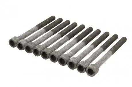 Комплект болтов ГБЦ AJUSA 81042800