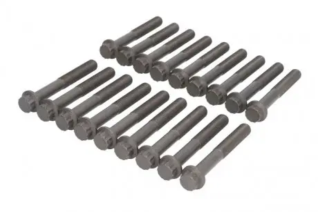 Комплект болтов ГБЦ AJUSA 81046000