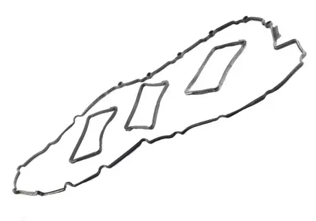 Прокладка клапанной крышки N55 AND 3M105025