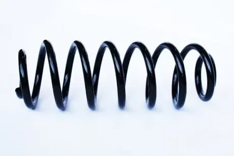 Пружина задняя vw passat (3c2) 1.9 tdi ASAM 73781