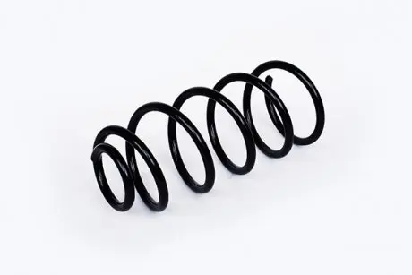 Пружина передняя SKODA OCTAVIA I (1U2) 1.9 TDI ASAM 73812