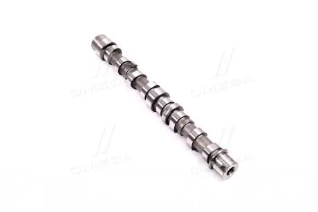 Розподільчий вал для випускного клапана Fiat Panda/Punto/Doblo 1.3JTD 03- ASHIKA 16SZ004
