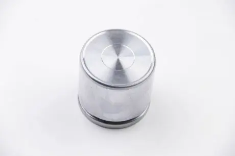 Поршенек суппорта перед ACCORD/CIVIC/CR-V (57х53,6мм) 90-02 AUTOFREN SEINSA D025225