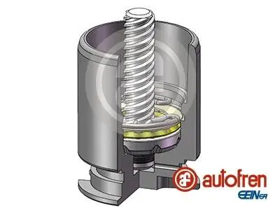 Елементи гальмівного супорта AUTOFREN SEINSA D02554RK