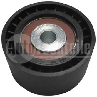 Ролик натяжной, 2.0dci 06- (60x30x10) AUTOTECHTEILE 512 0004