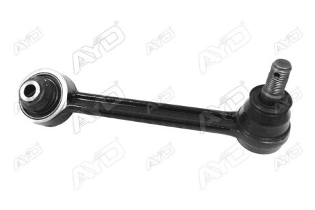 Рычаг подвески задн (конус 15.9*18.3mm) KIA CARNIVAL III / GRAND CARNIVAL (05-) AYD 8816425