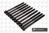 Комплект болтів з головкою системи TORX з чорного металу BGA BK2308 (2232025000, 2232025000X8, 2232125001X2) (фото 1)