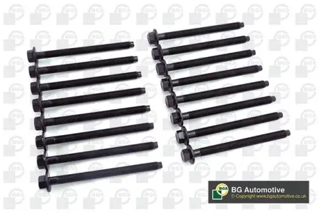 Комплект болтів двигуна з фігурною головкою BGA BK2392