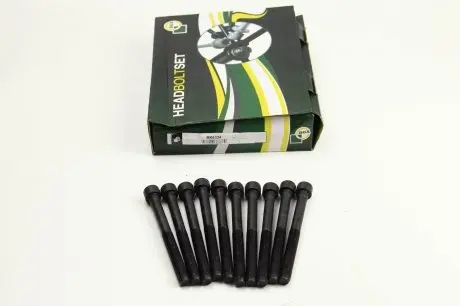 Болты головки блока Fiat Ducato 1.9 D/TD -02 (10шт.) BGA BK6324