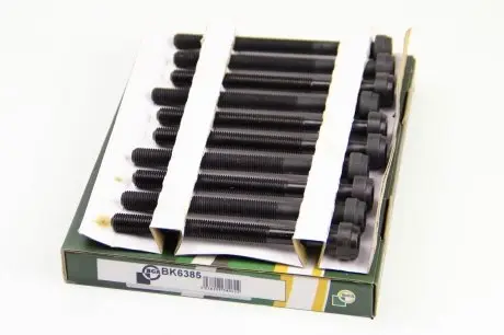 Болты головки блока 1.9TD (1905) Ducato/Boxer 94-02/Scudo/Expert BGA BK6385