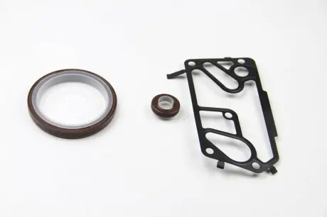 Комплект прокладок VW T5 2.5 TDI 03- (нижний) BGA CK3502