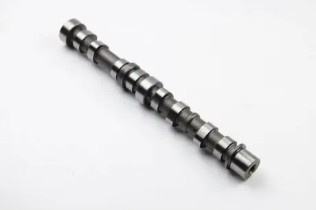 Розподільчий вал Doblo 1.3JTD 04> выпуск. BGA CS3930