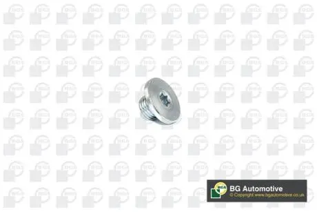 Маслосливная пробка Combo/Astra/Vectra 94- M14x1.5x10.5 BGA PK2200