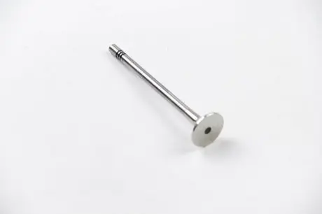 Клапан выпускной A4/A6/SUPERB /PASSAT 2.5TDi 01-06 BGA V164541