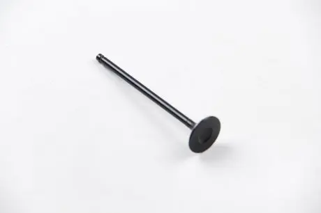 Клапан выпускной NOTE/QASHQAI/TIIDA 1.2/1.6i 07- BGA V165411