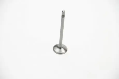 Клапан впускной 2.0TDI T5 09-/Crafter/Caddy 11-/Passat 10- BGA V165640