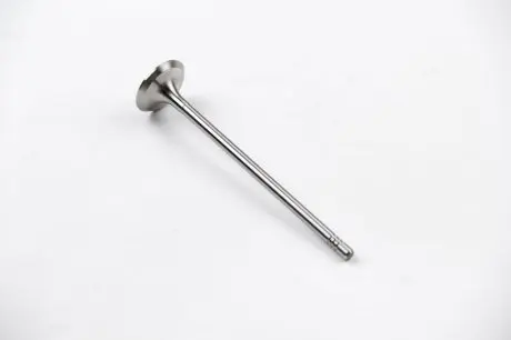 Клапан выпускной BERLINGO/C4/PARTNER 1.4/1.6i 09- BGA V591702