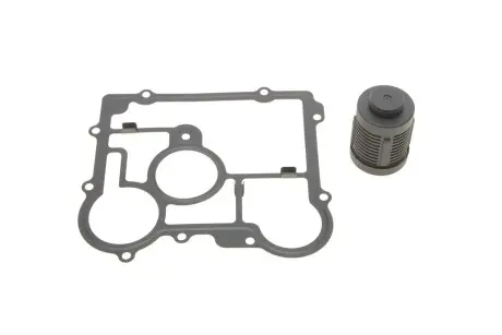 Фильтр awd муфты (haldex) gen. iv BorgWarner DS2006273