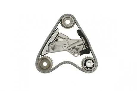 Комплект ГРМ Borsehung B10201