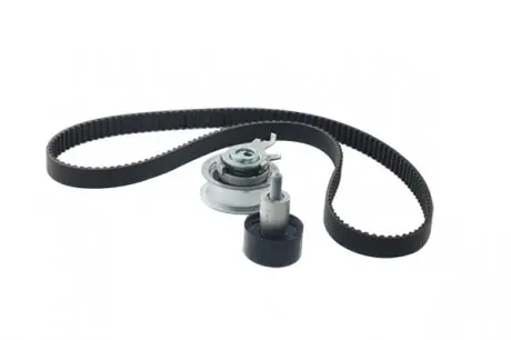 Комплект ремня ГРМ Borsehung B10210