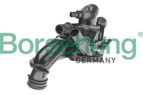 Thermostat assembly Borsehung B10563