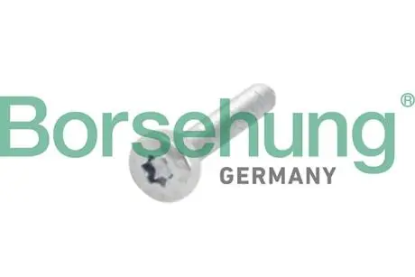 Round hd. screw Borsehung B10634