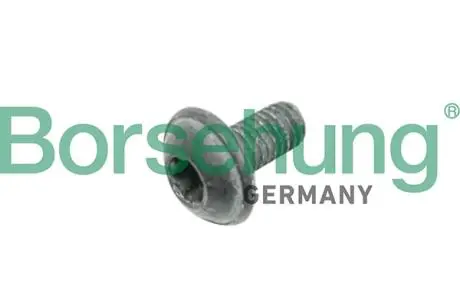 Oval hexagon socket head bolt Borsehung B10635