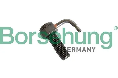 Форсунка оливна Borsehung B11162