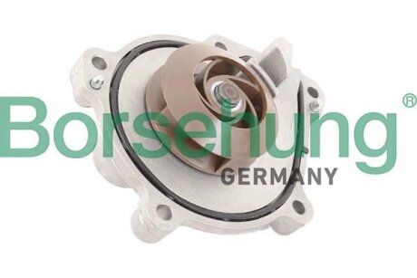 Water pump Borsehung B11218