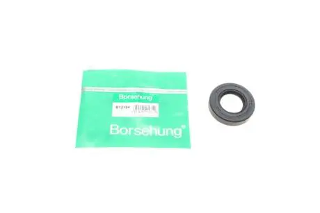 Радіальне ущільнення вала (OE) Borsehung B12194