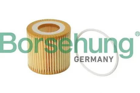 Oil filter Borsehung B12219