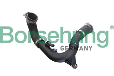 Pressure hose complete Borsehung B12347