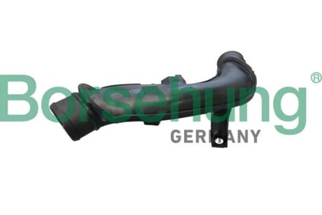 Coolant pipe; hard plastic Borsehung B12349