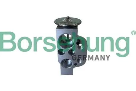 Expansion valve Borsehung B12412