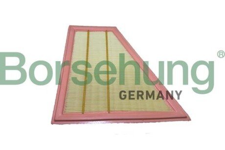 Air filter element Borsehung B12444