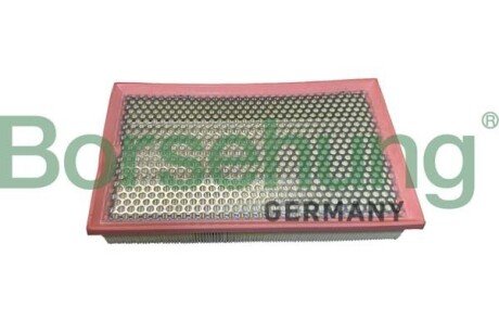 Air filter element Borsehung B12446