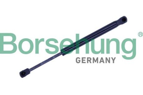 Bonnet gas filled strut Borsehung B12473