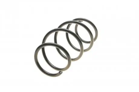 Пружина передняя Borsehung B12564