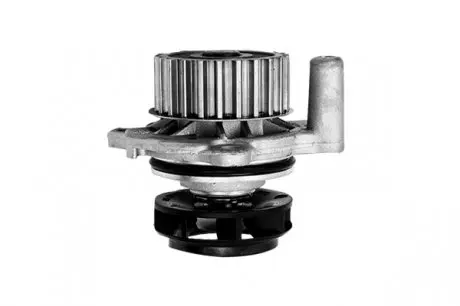 Насос ож с уплотн.кольцом, Borsehung B12688