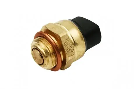 Датчик температуры Borsehung B13131