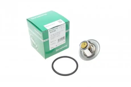 Термостат Borsehung B13140