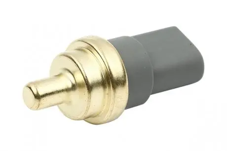Датчик внутрішньої температури (wahler) Borsehung B13146