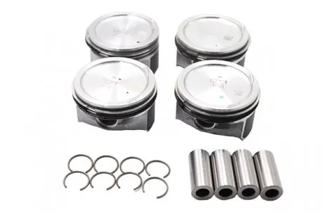 Комплект поршней Borsehung B13577