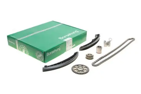 Комплект цепи ГРМ Borsehung B16299