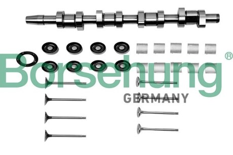 Ремкомлект распредвала, Borsehung B17129